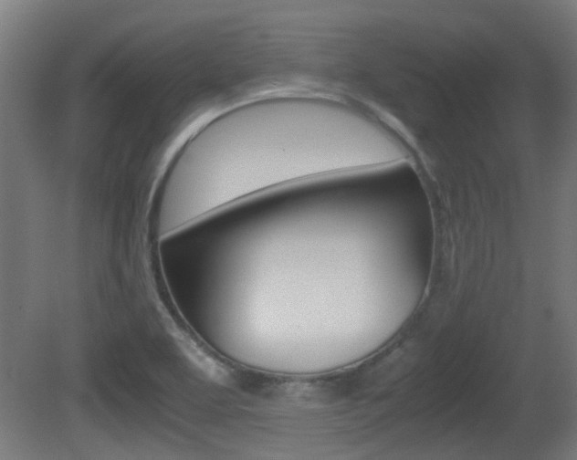 X0000081391463200701111154