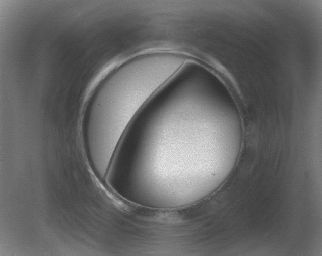 X0000081391464200701111154