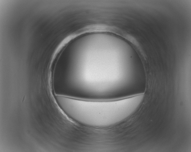 X0000081391472200701111154