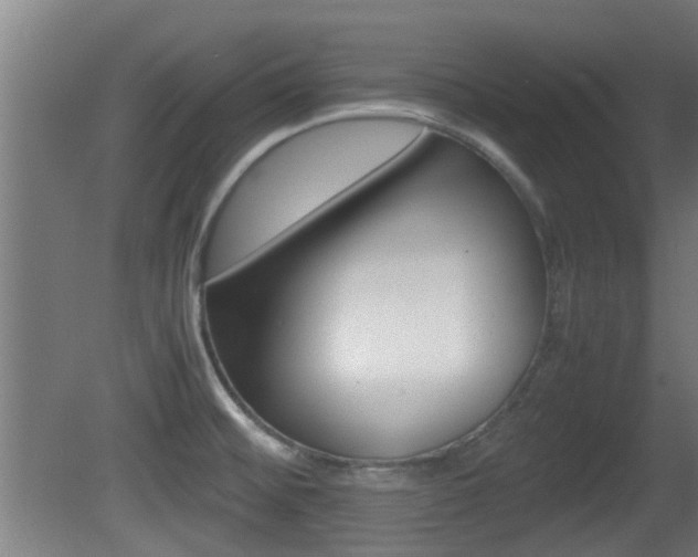 X0000081391476200701111154