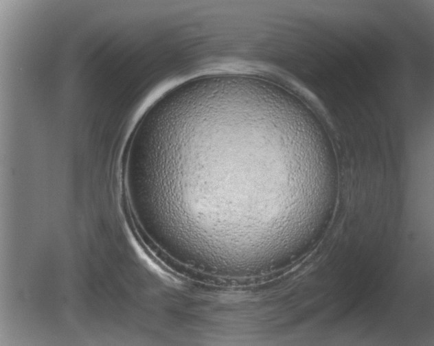 X0000081391479200701111154
