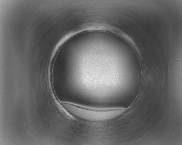 X0000081391480200701111153