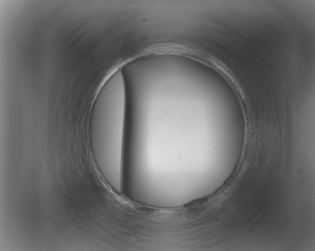 X0000081391481200701111153
