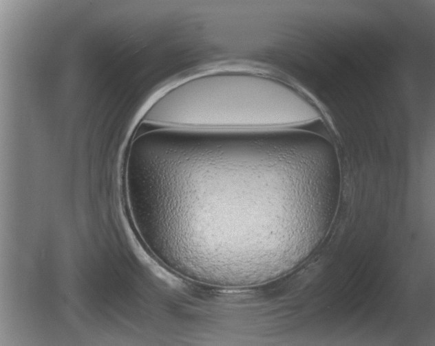 X0000081391483200701111153
