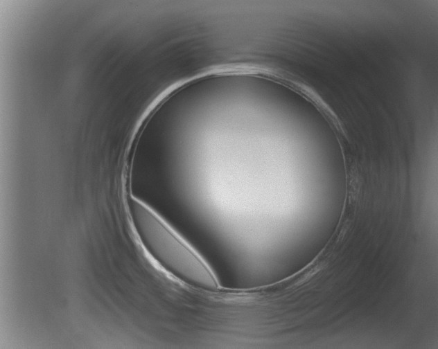 X0000081391484200701111153