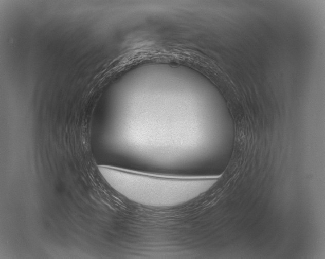X0000081391490200701111153