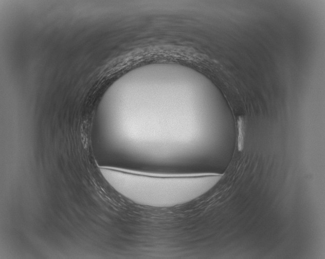 X0000081391491200701111153