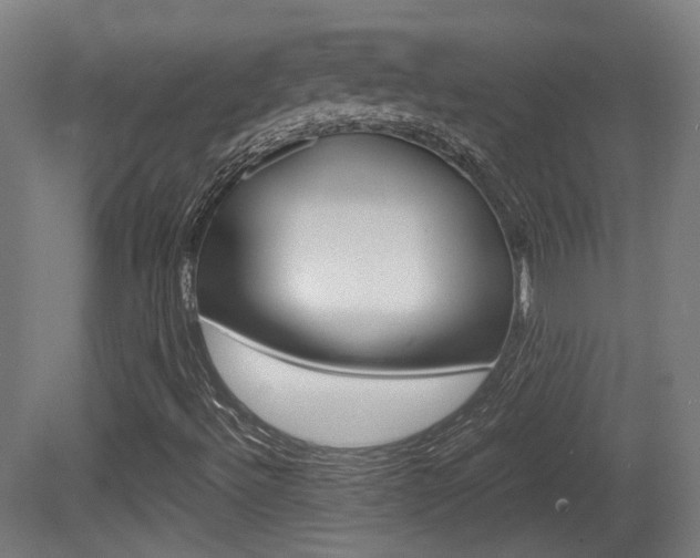 X0000081391492200701111153