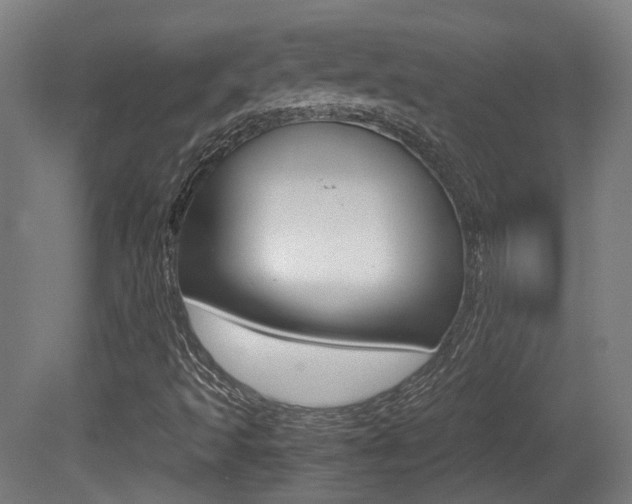 X0000081391493200701111153