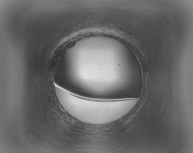 X0000081391494200701111153