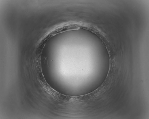 X0000081391496200701111153