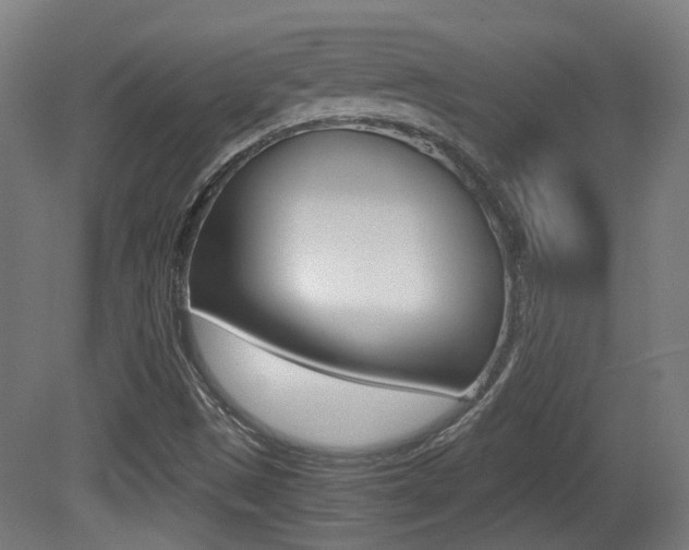 X0000081391497200701111153