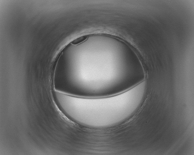 X0000081391500200701111153
