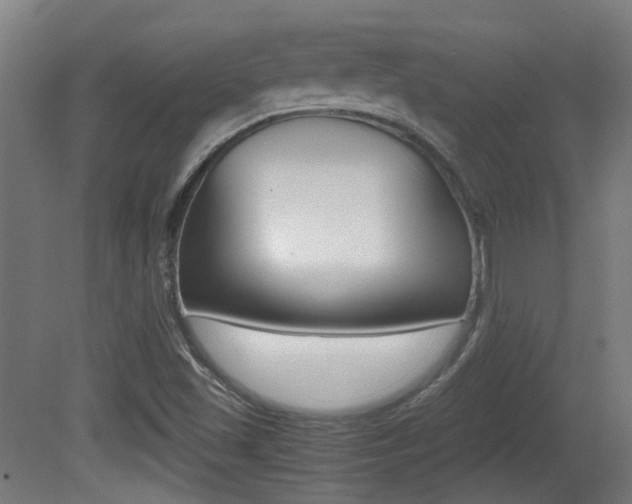 X0000081391501200701111153