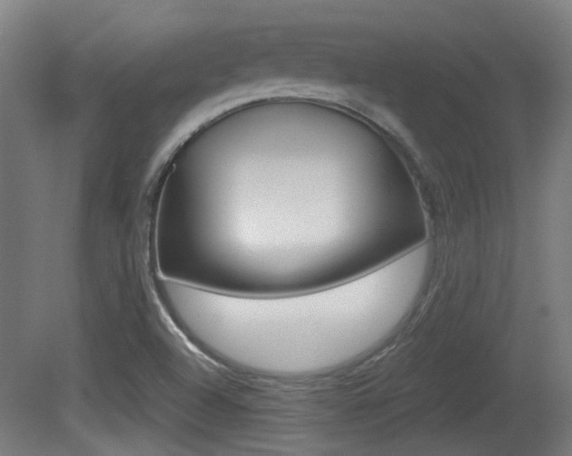 X0000081391504200701111153