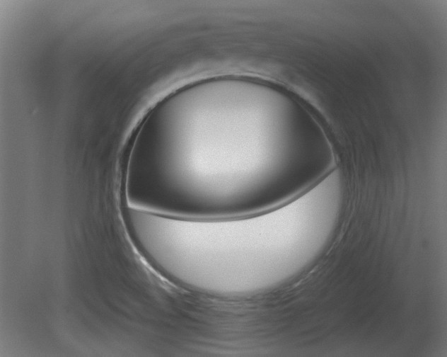 X0000081391508200701111153