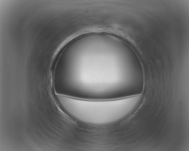 X0000081391509200701111153