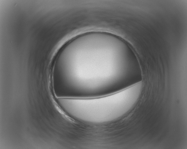 X0000081391511200701111153
