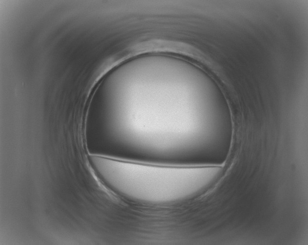 X0000081391513200701111153