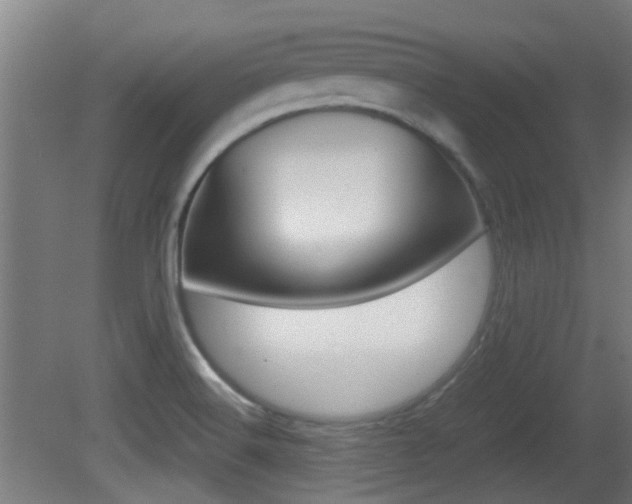 X0000081391516200701111153