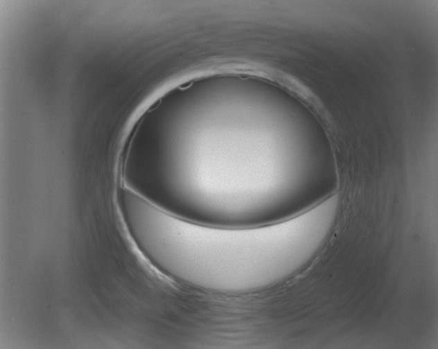 X0000081391520200701111153