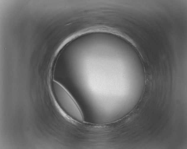 X0000081391523200701111153