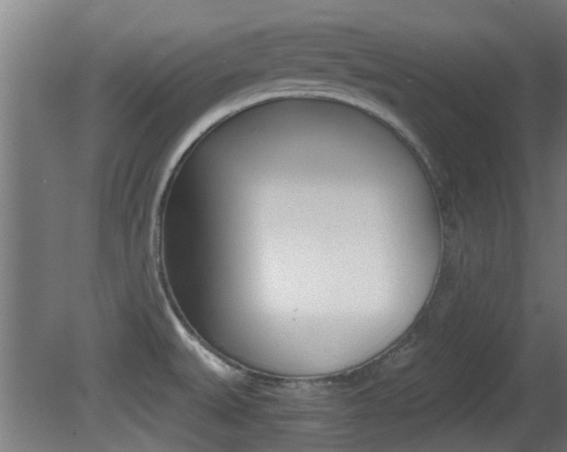 X0000081391527200701111153