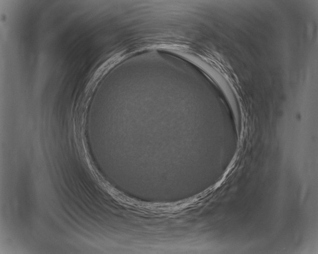 X0000081390001200701111529