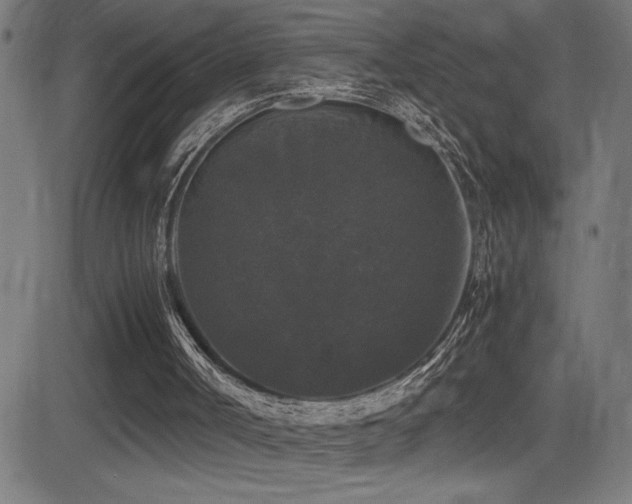 X0000081390002200701111529