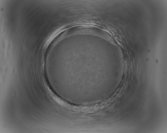 X0000081390005200701111529