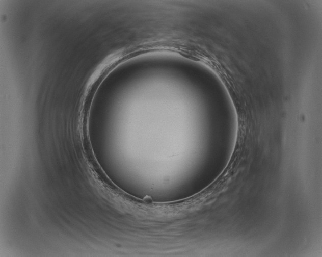 X0000081390006200701111529