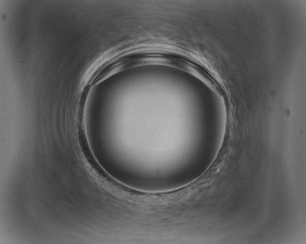 X0000081390007200701111529