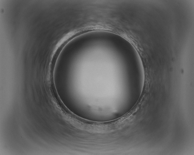 X0000081390008200701111529