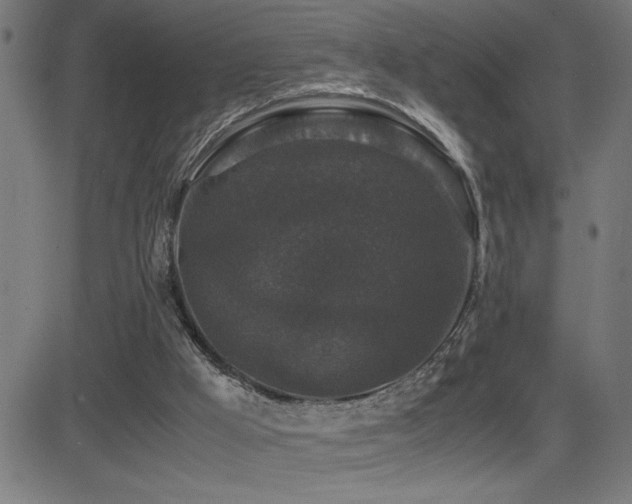 X0000081390009200701111529