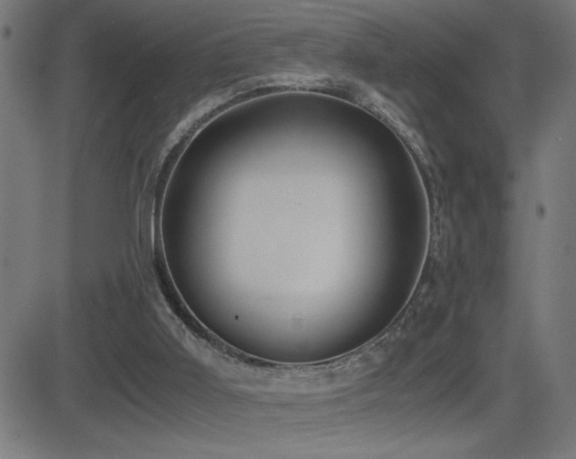 X0000081390011200701111529