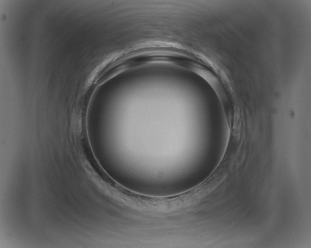X0000081390015200701111529