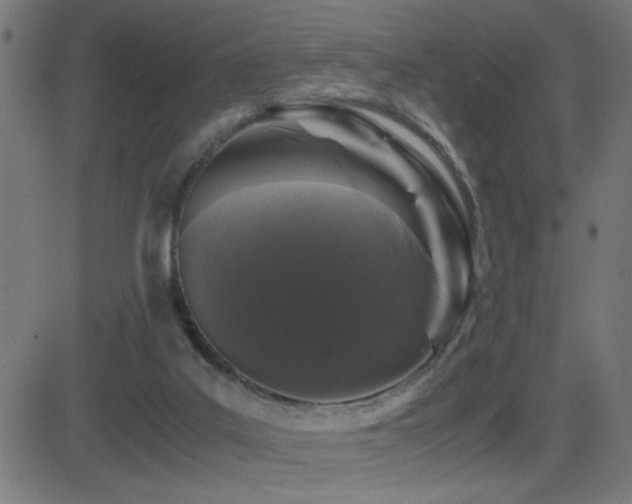 X0000081390019200701111529