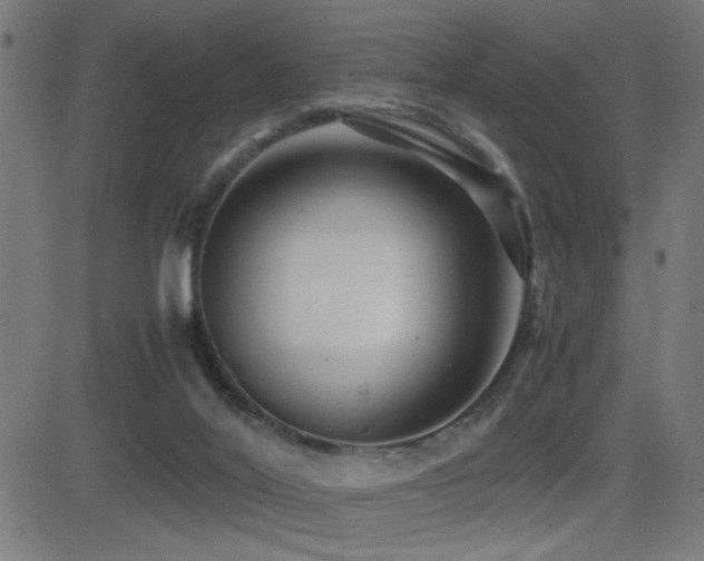 X0000081390020200701111529