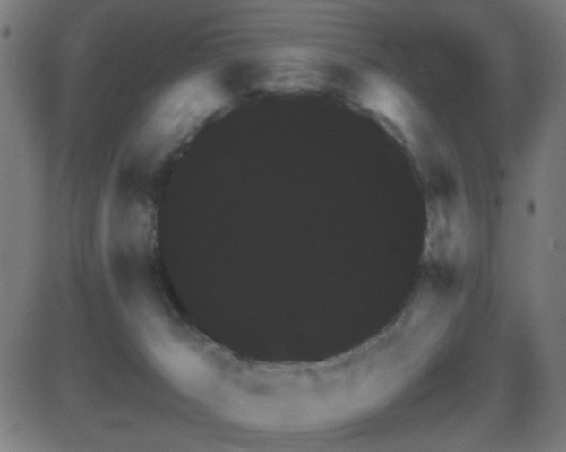 X0000081390029200701111529