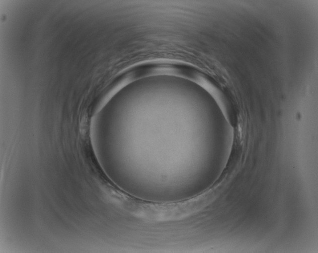 X0000081390033200701111529