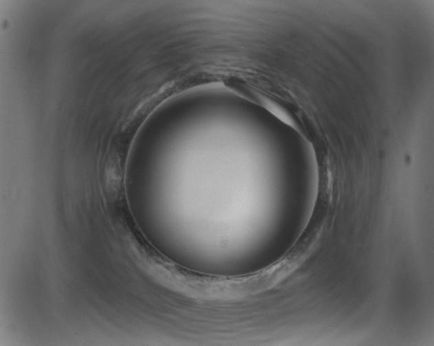X0000081390040200701111529