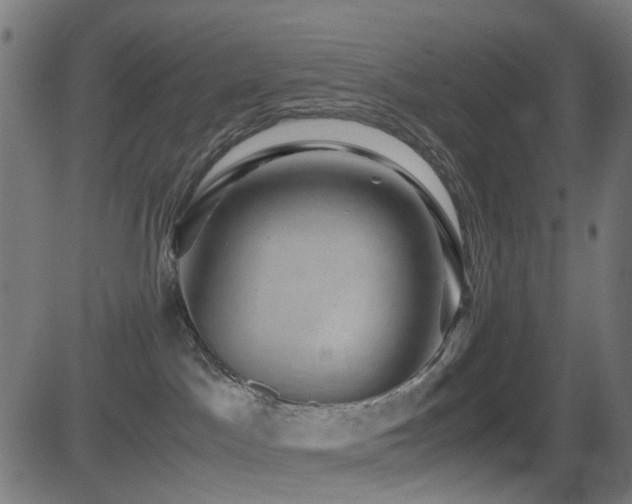 X0000081390045200701111529
