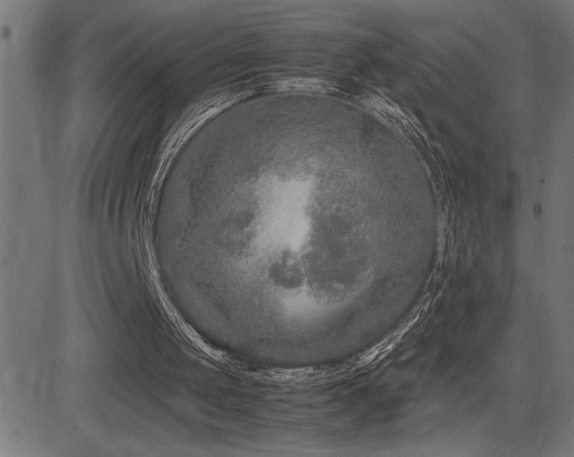 X0000081390049200701111528