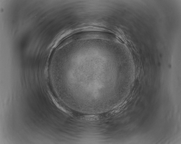 X0000081390050200701111528