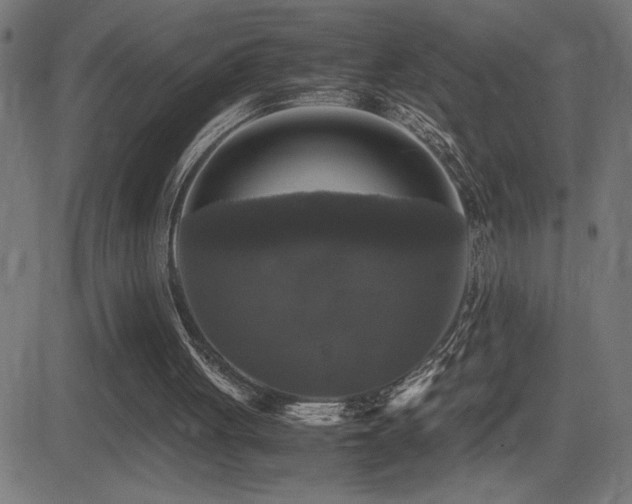 X0000081390051200701111528