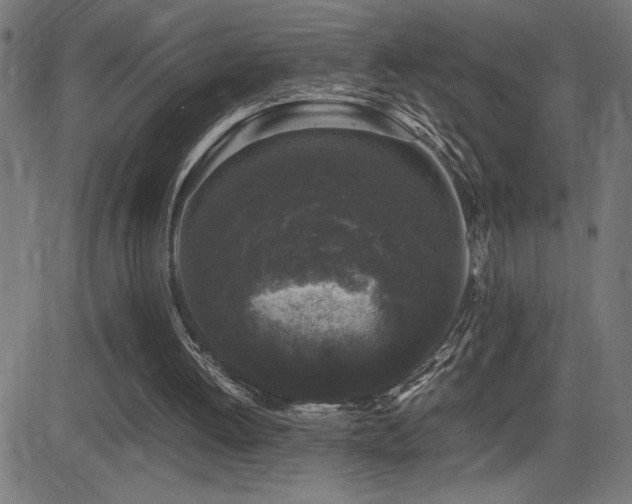 X0000081390052200701111528