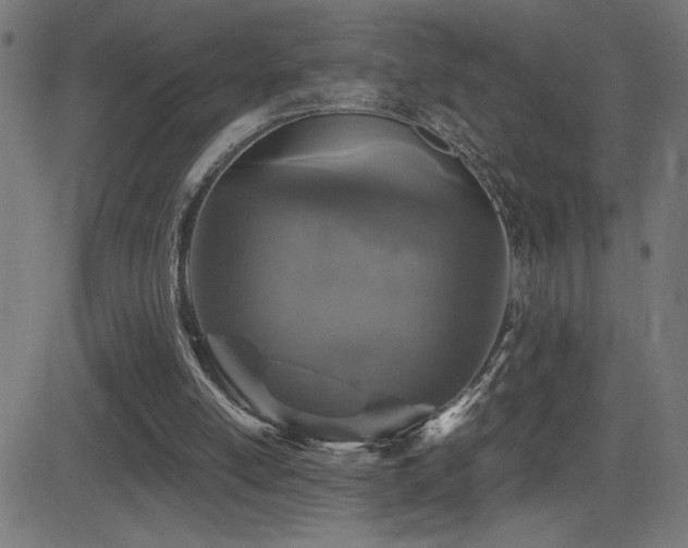 X0000081390054200701111528