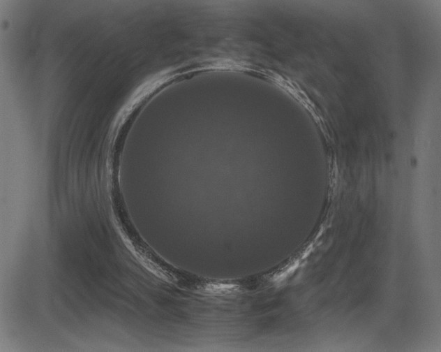 X0000081390055200701111528