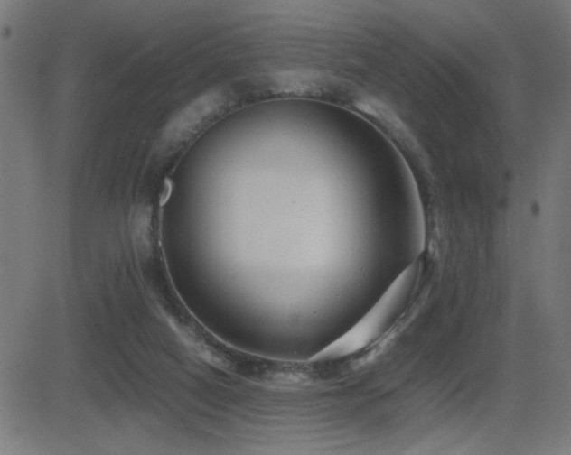 X0000081390066200701111528