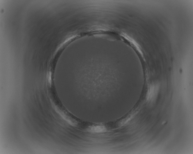 X0000081390067200701111528